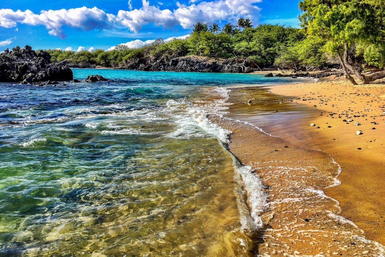 Kona Bali Kai #341 Lejlighed Kailua-Kona Eksteriør billede