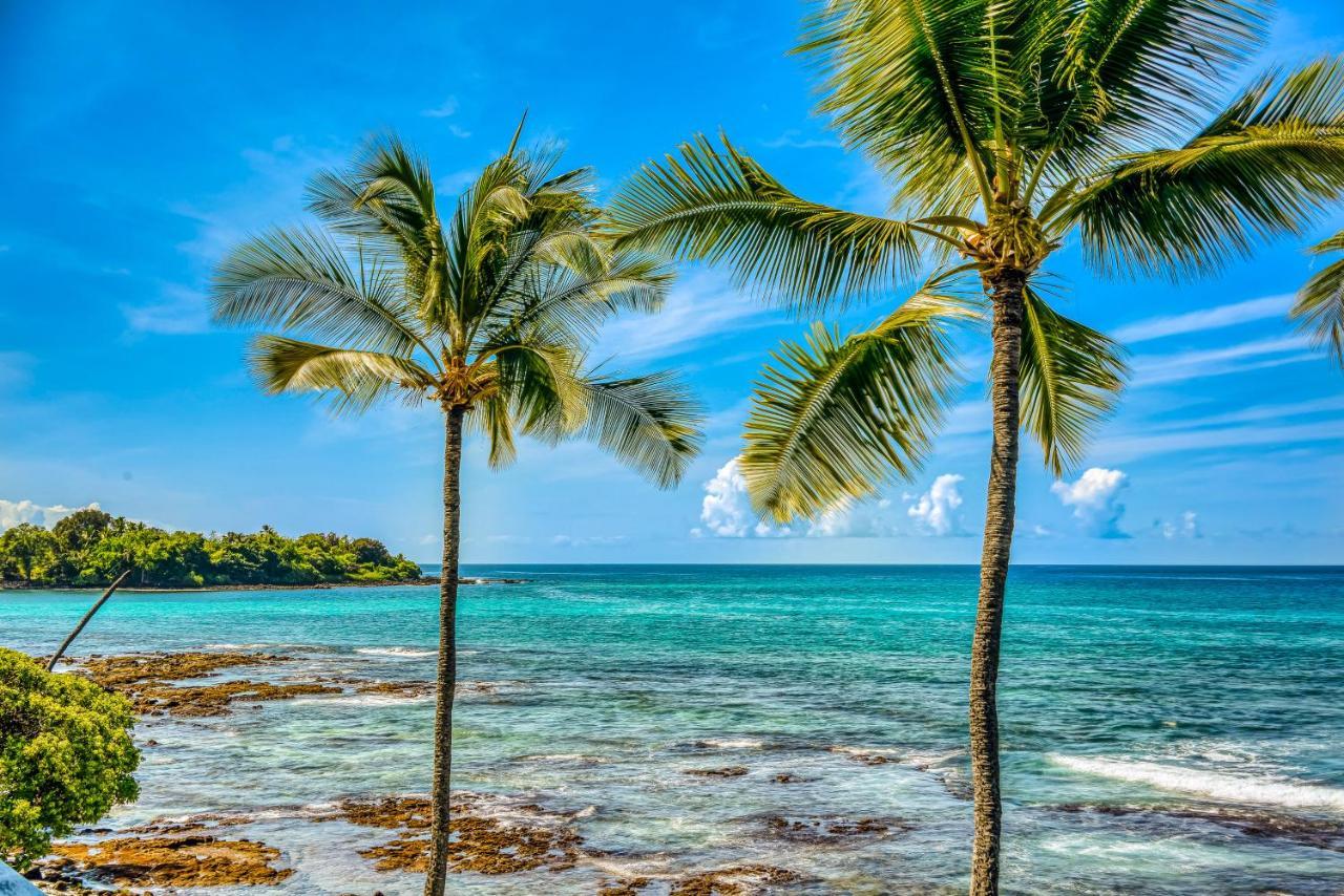 Kona Bali Kai #341 Lejlighed Kailua-Kona Eksteriør billede